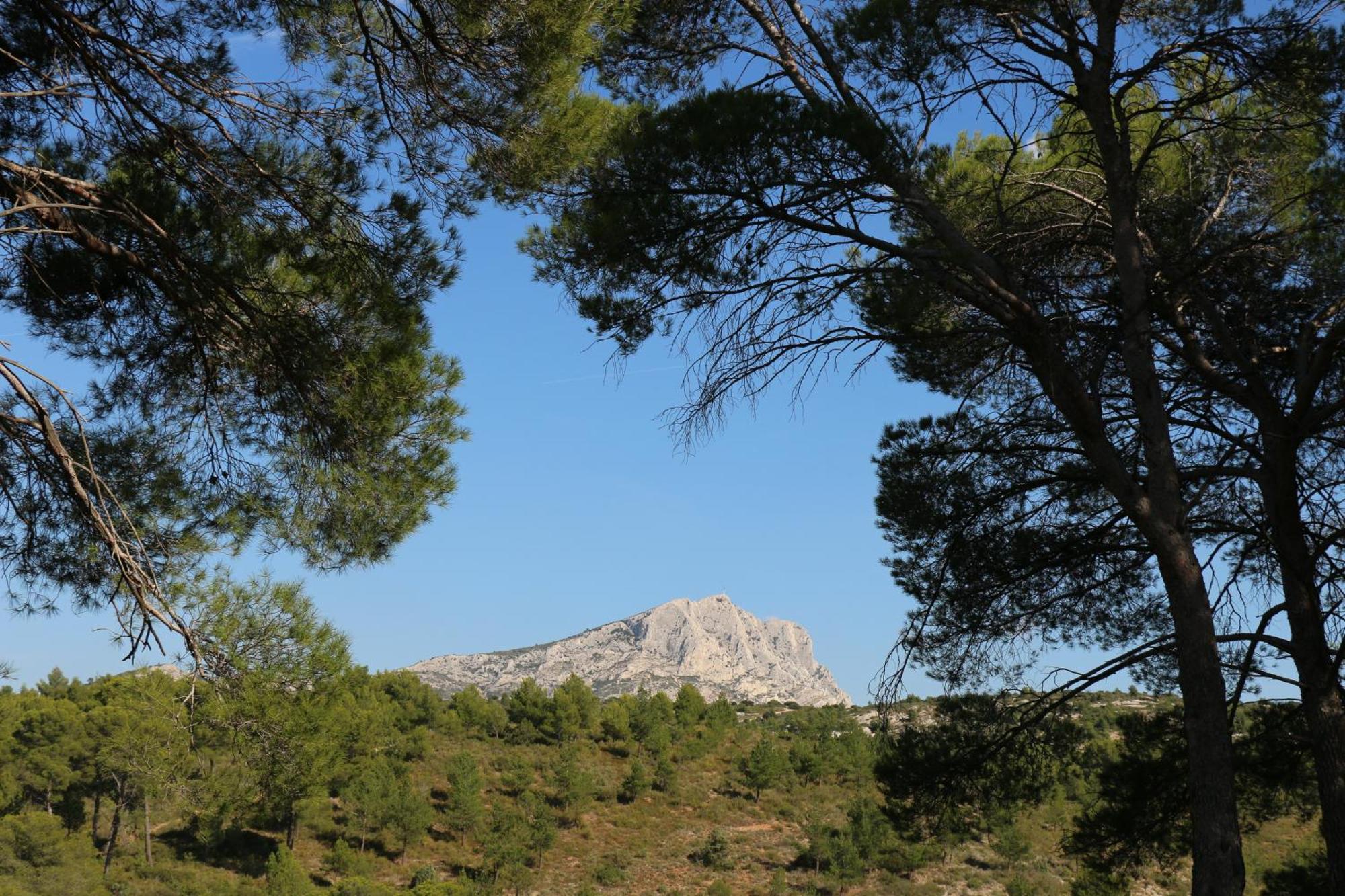 Studio Charmant Au Calme Aix-en-Provence Dış mekan fotoğraf